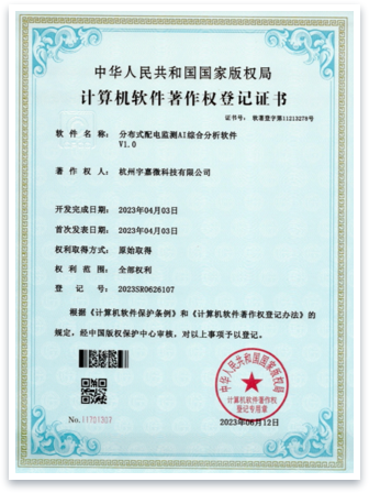 ruanzhu4.png